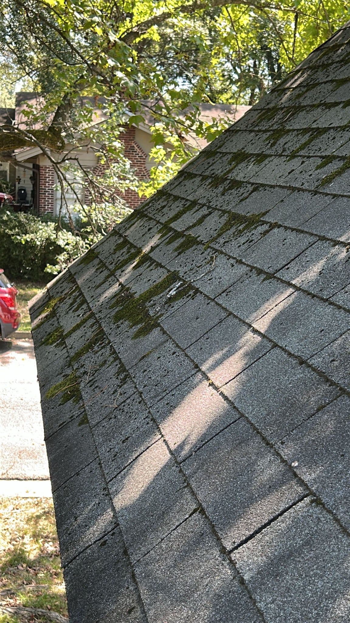 Prevent Moisture Damage with Expert Roof Care image