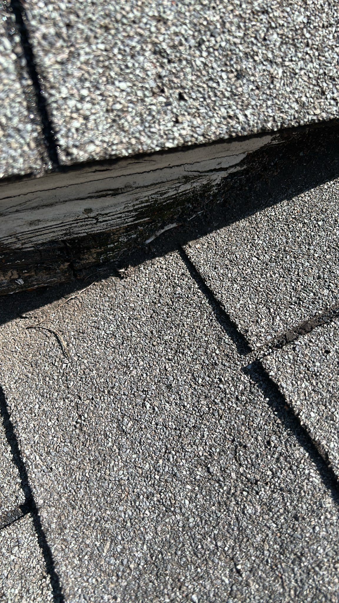 Expert Roof Inspections and Repairs Prevent Leaks image