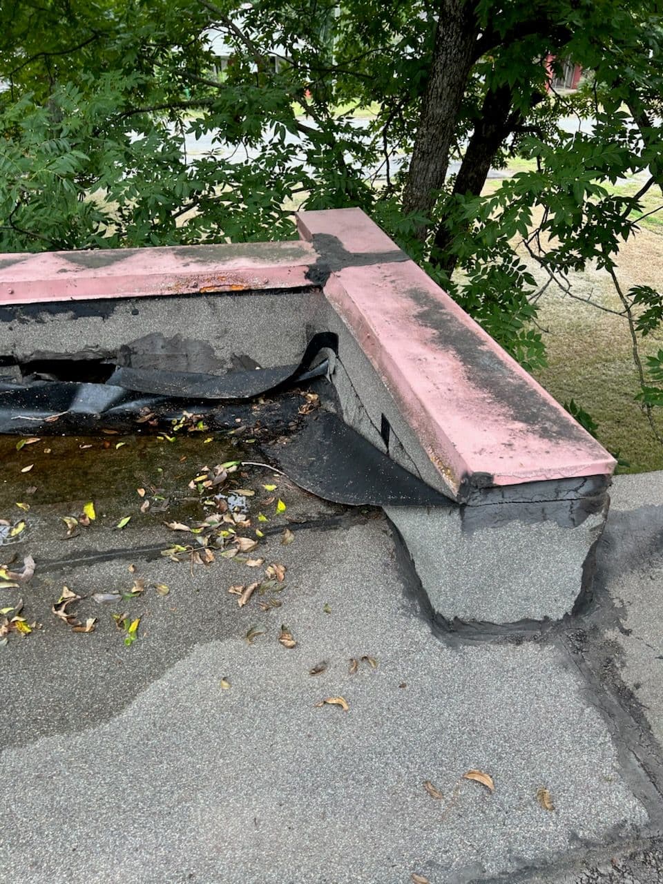 Project Stop Costly Roof Surprises in Texarkana image
